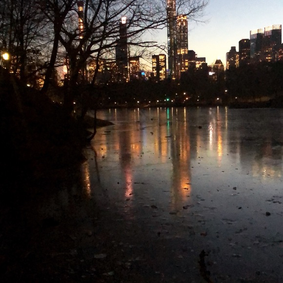 Meet your Posher, Sofia - Picture 1 of 1